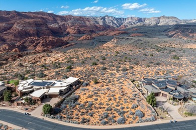 Rare opportunity to own one of the final premier rim lots - photo 22