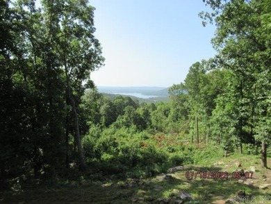 WHAT A VIEW OF GREERS FERRY LAKE! You'll want to see this nearly - photo 26