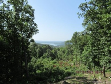WHAT A VIEW OF GREERS FERRY LAKE! You'll want to see this nearly - photo 27