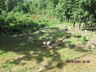 WHAT A VIEW OF GREERS FERRY LAKE! You'll want to see this nearly - photo 30