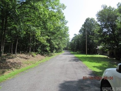 WHAT A VIEW OF GREERS FERRY LAKE! You'll want to see this nearly - photo 31