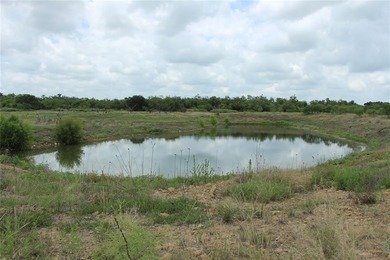 (private lake, pond, creek) Home For Sale in Moran Texas