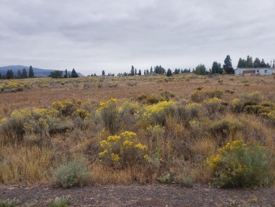 Lake Lot For Sale in Chiloquin, Oregon