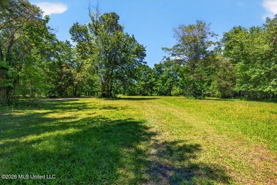 Gorgeous Acreage * Partially Cleared * Residential Estate Zoning - photo 11