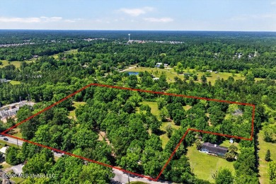 Gorgeous Acreage * Partially Cleared * Residential Estate Zoning - photo 13