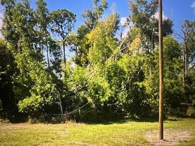 Cape Coral Area Lot For Sale in Cape Coral Florida