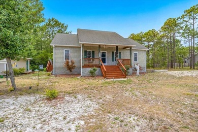 Welcome to peaceful living in Boiling Spring Lakes! This freshly - photo 38