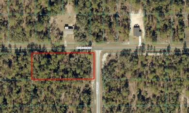 Lake Lot For Sale in Dunnellon, Florida