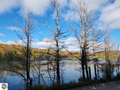 Porcupine Lake Acreage For Sale in Elmira Michigan