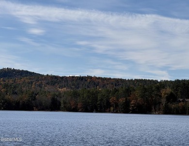 This beautiful lakefront building lot offers 253' of private - photo 11
