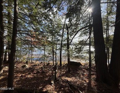 This beautiful lakefront building lot offers 253' of private - photo 12