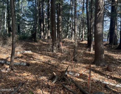 This beautiful lakefront building lot offers 253' of private - photo 14