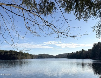 This beautiful lakefront building lot offers 253' of private - photo 15