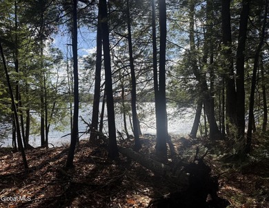 This beautiful lakefront building lot offers 253' of private - photo 18