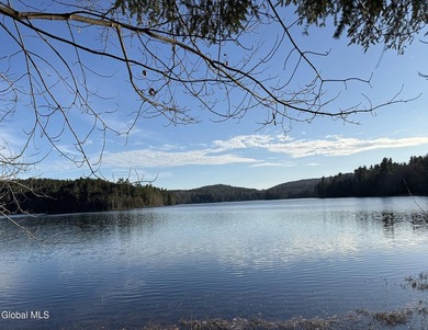 This beautiful lakefront building lot offers 253' of private - photo 19