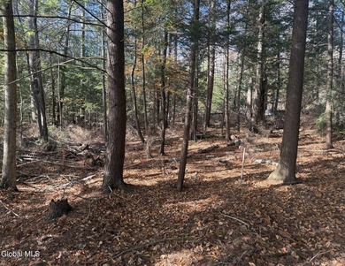 This beautiful lakefront building lot offers 253' of private - photo 20