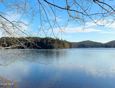 This beautiful lakefront building lot offers 253' of private - photo 21