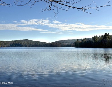 This beautiful lakefront building lot offers 253' of private - photo 23
