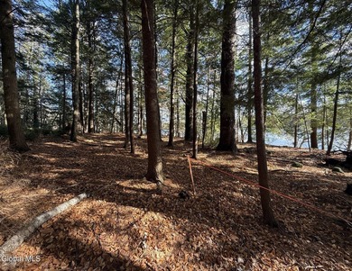 This beautiful lakefront building lot offers 253' of private - photo 24