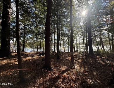 This beautiful lakefront building lot offers 253' of private - photo 26