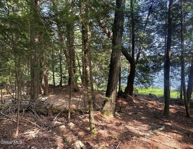 This beautiful lakefront building lot offers 253' of private - photo 29