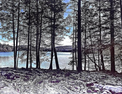 This beautiful lakefront building lot offers 253' of private - photo 32