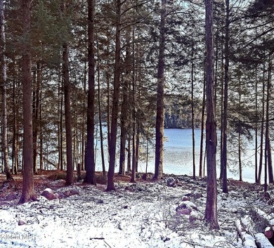 This beautiful lakefront building lot offers 253' of private - photo 35
