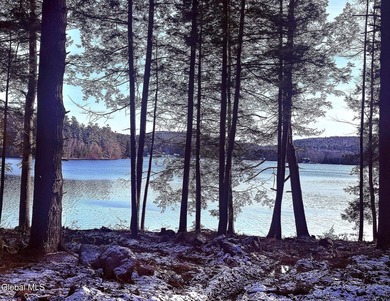 This beautiful lakefront building lot offers 253' of private - photo 36