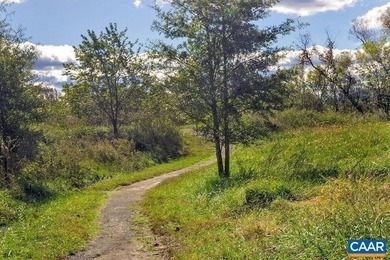 OPEN SUN 7/19. Old Trail in Crozet. End unit villa backing to - photo 48