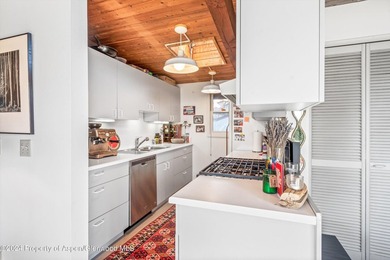 Unparalleled Aspen redevelopment opportunity. Discover a rare - photo 3