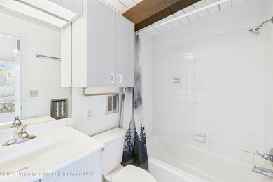 Unparalleled Aspen redevelopment opportunity. Discover a rare - photo 9