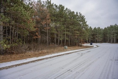 Lake Acreage For Sale in Nekoosa, Wisconsin