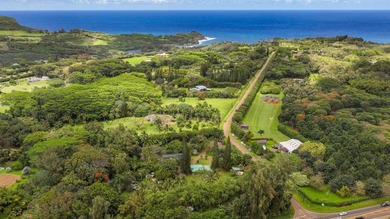 Set in one of Kauai's most desirable locations, this 5.25-acre - photo 28
