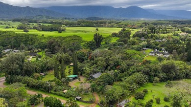 Set in one of Kauai's most desirable locations, this 5.25-acre - photo 29