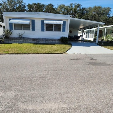 Lake Home For Sale in Eustis, Florida