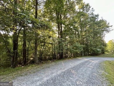 Carters Lake Lot For Sale in Ellijay Georgia