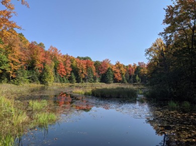 (private lake) Acreage For Sale in Westboro Wisconsin