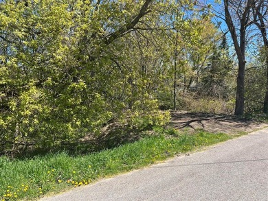 Build your Up North getaway on this beautiful double lot with - photo 2