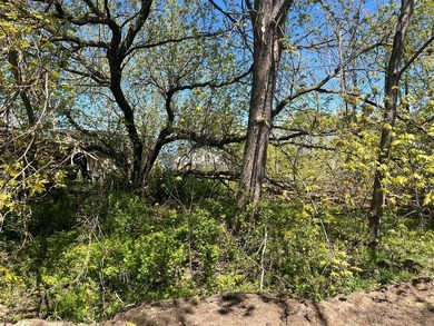 Build your Up North getaway on this beautiful double lot with - photo 3