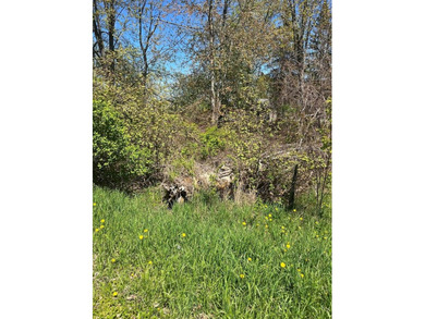 Build your Up North getaway on this beautiful double lot with - photo 6