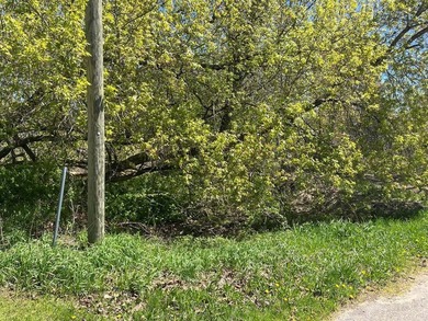 Build your Up North getaway on this beautiful double lot with - photo 7