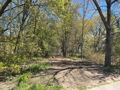 Build your Up North getaway on this beautiful double lot with - photo 8