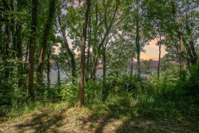 Indian Lake - Cass County Lot For Sale in Dowagiac Michigan