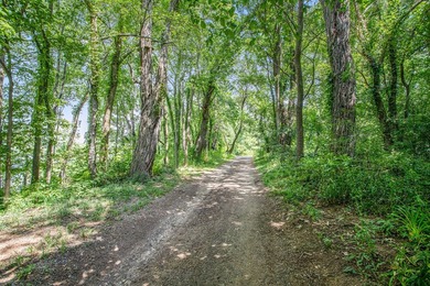 Building site on this 500 acre lake that offers the best in - photo 5