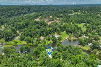 Outstanding Waterfront Cabin Retreat on Glaze Creek! Experience - photo 43