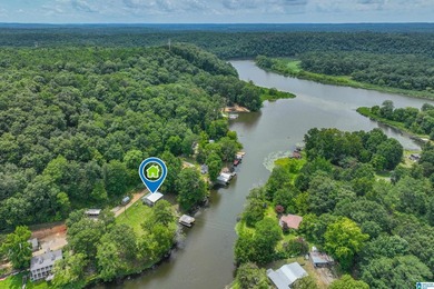 Outstanding Waterfront Cabin Retreat on Glaze Creek! Experience - photo 45
