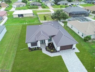 Welcome to your dream home in Cape Coral! This stunning single - photo 49
