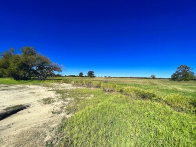 1+ Acre Waterfront Lot on Richland Chambers Lake! - photo 21