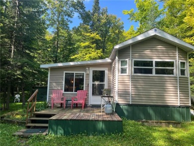 Lake Home For Sale in Federal Dam, Minnesota