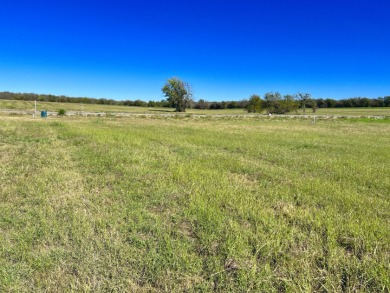 1+ Acre Waterfront Lot on Richland Chambers Lake! - photo 11